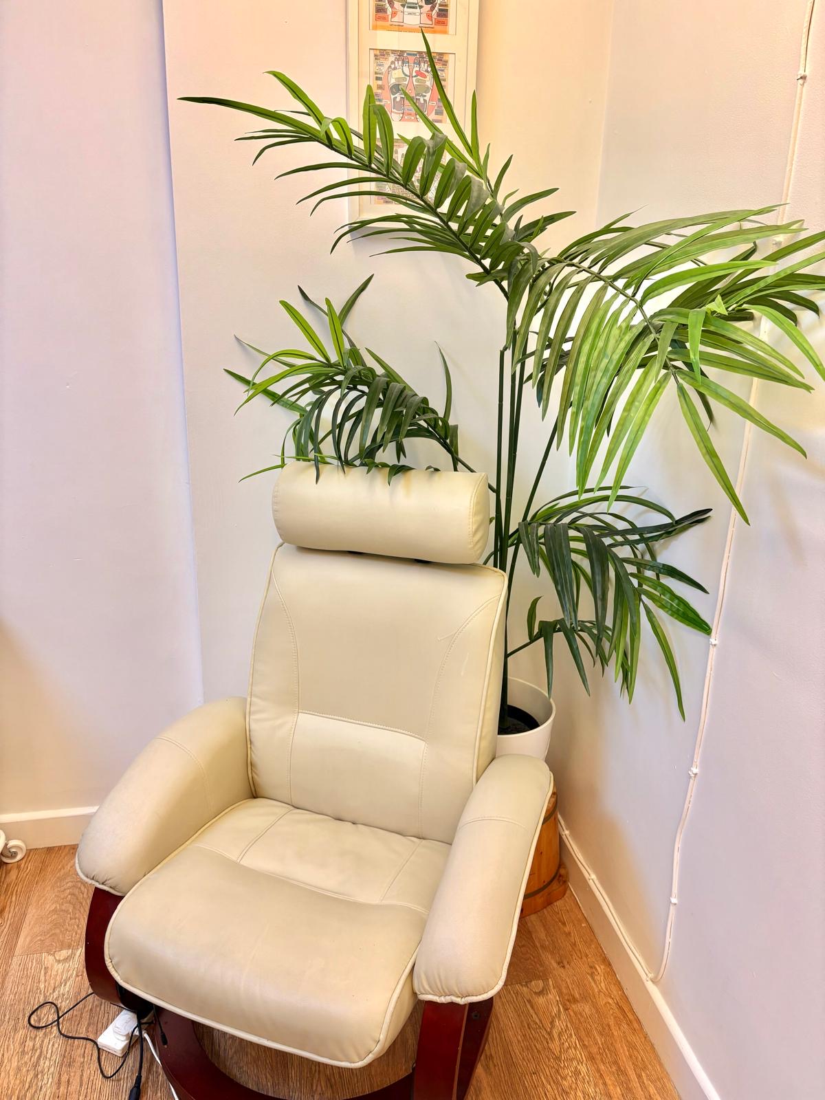 Nadines treatment chair and plant